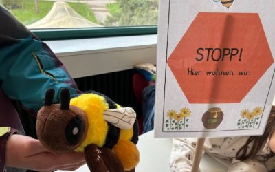 Unsere Schulbienen ziehen wieder ein